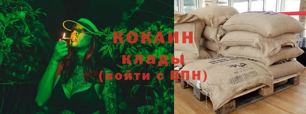 амф Осинники