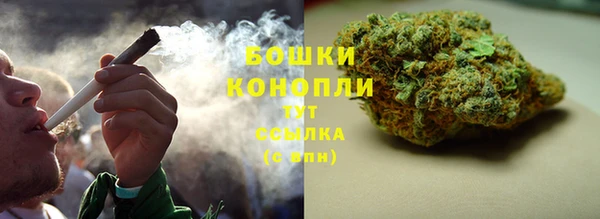 амф Осинники