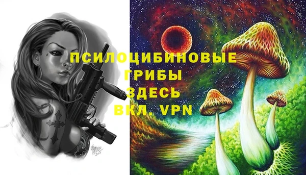 а пвп мука Осташков