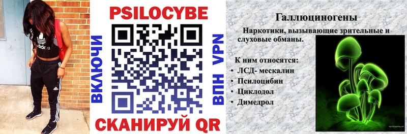 Псилоцибиновые грибы Cubensis  Домодедово 