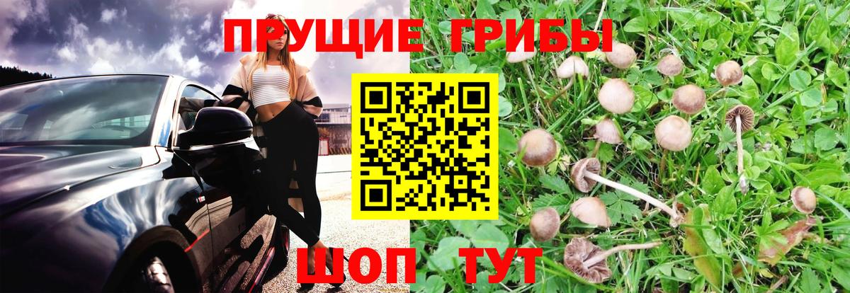 Галлюциногенные грибы MAGIC MUSHROOMS Домодедово
